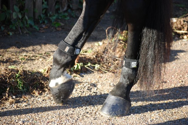 MAGNETIC FETLOCK BAND 